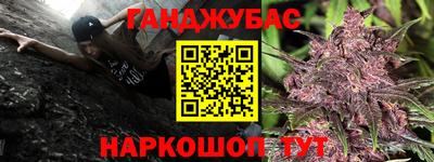 гидра Гатчина