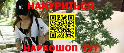 гидра Гатчина