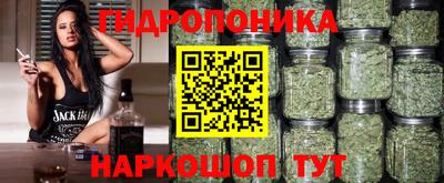 гидра Гатчина
