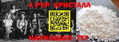 гидра Гатчина