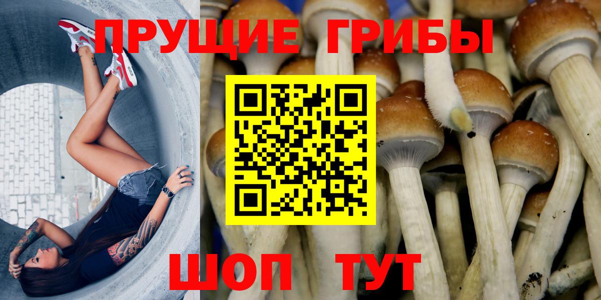 цены наркотик  Галлюциногенные грибы MAGIC MUSHROOMS  Псилоцибиновые грибы мухоморы  Вход с VPN  Учалы 