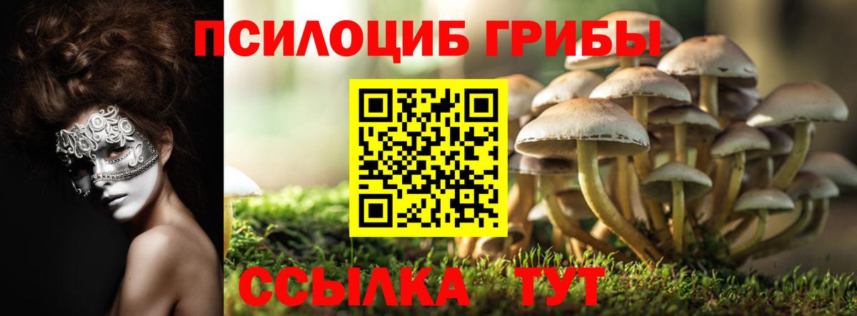 Галлюциногенные грибы GOLDEN TEACHER Учалы
